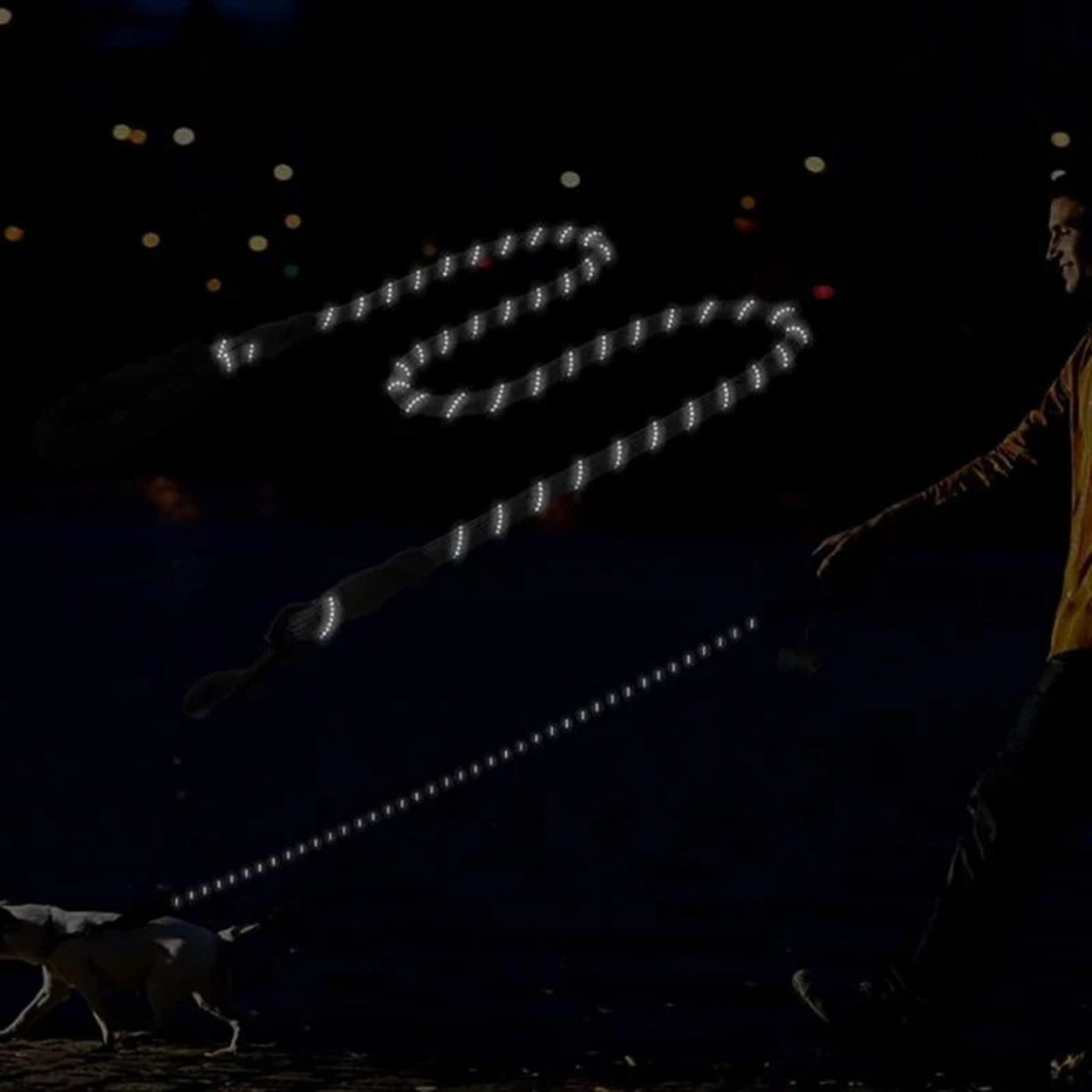 Personaliertes Anti-Zug Hundegeschirr