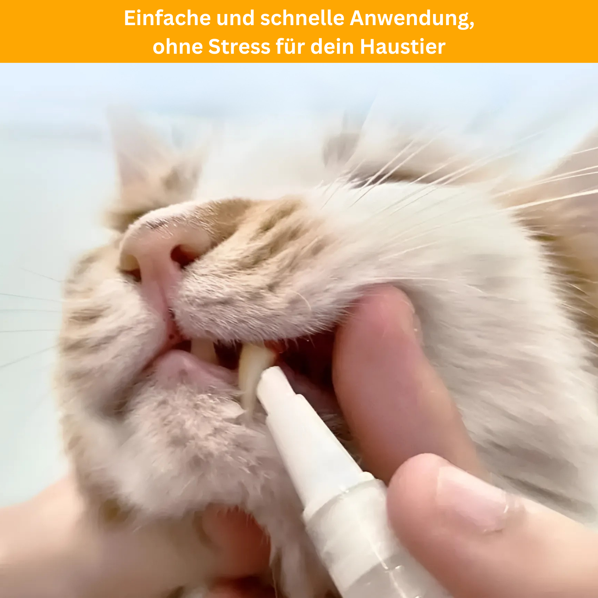 Zahnpflege-Stift für Haustiere