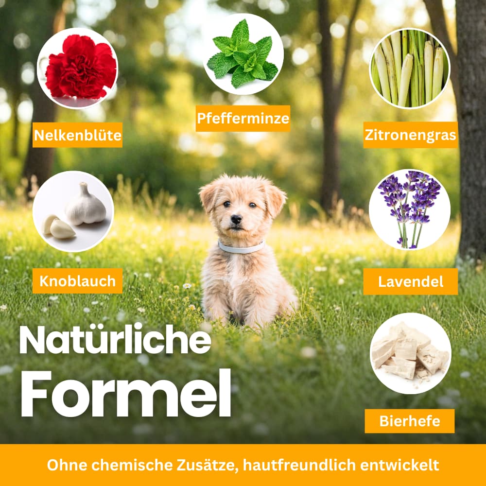 FellFreund Flea & Tick Protection Duo