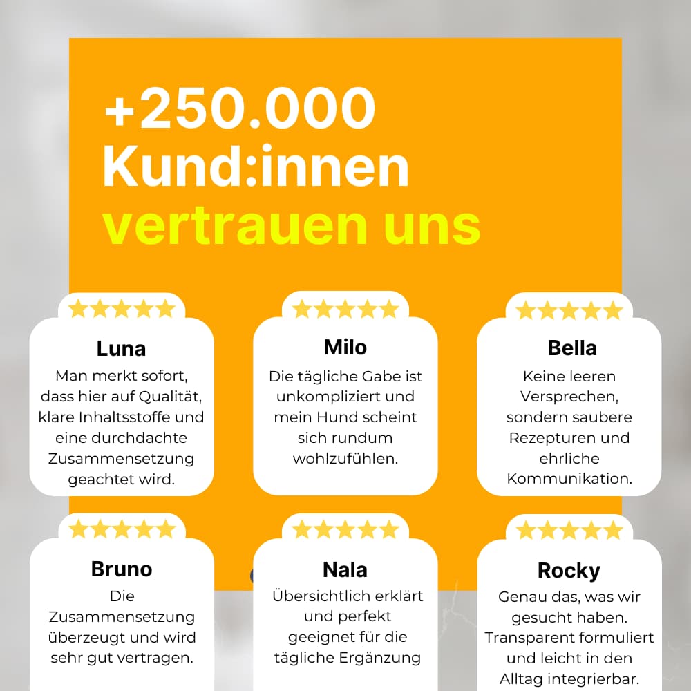 FellFreund Flea & Tick Protection Duo