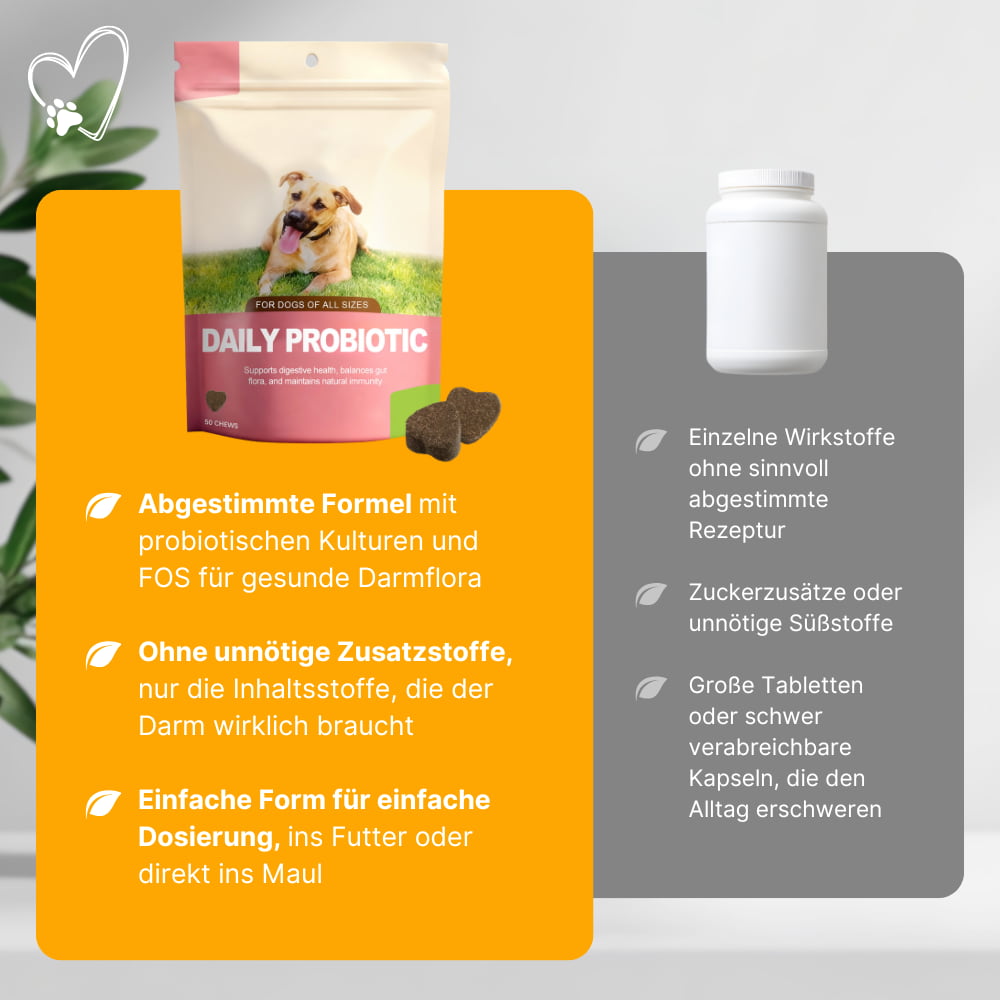 Tägliche Darmflora-Probiotika für Hunde