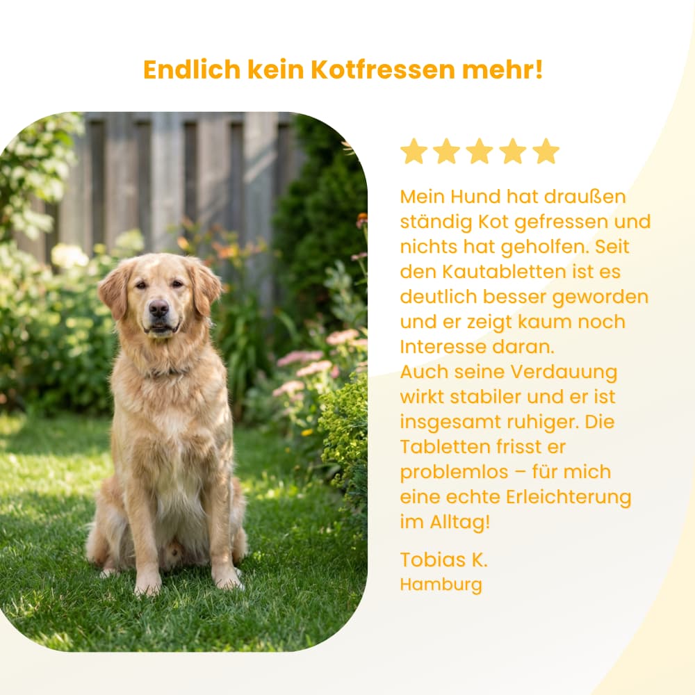 Verdauungskomplex für Hunde - Kautabletten gegen Kotfressen