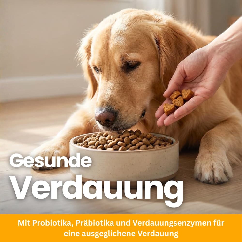 Probiotische Softpellets für Hunde & Welpen