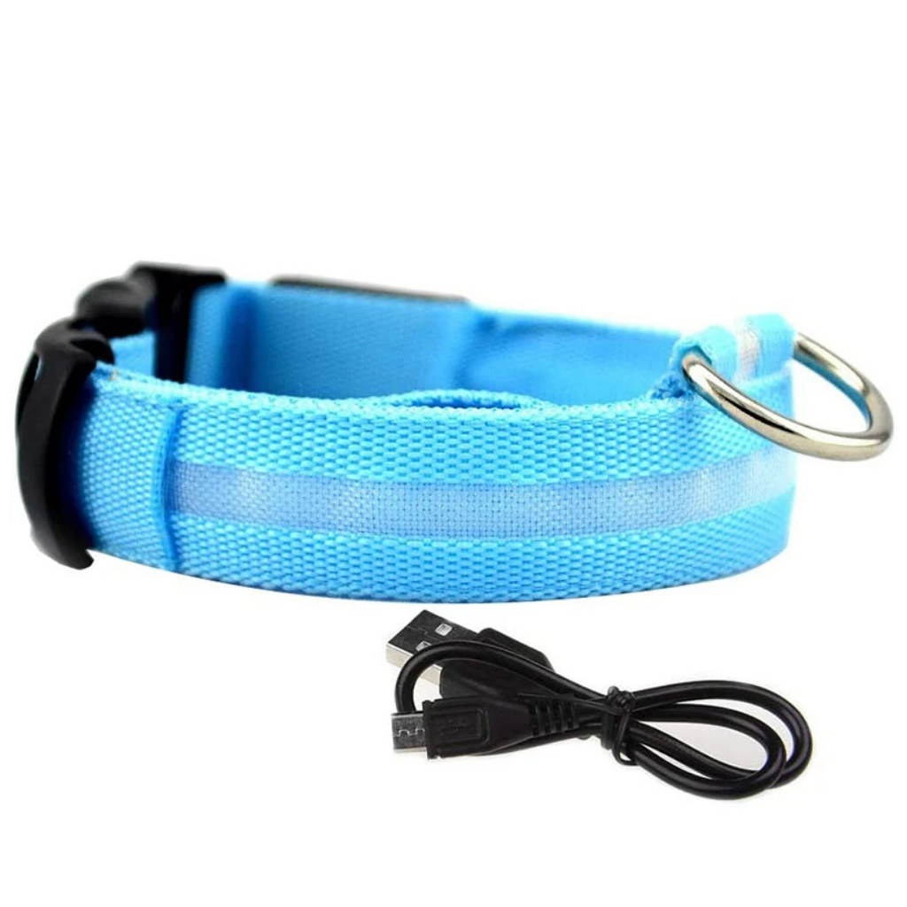LED Light-Up Dog Collar