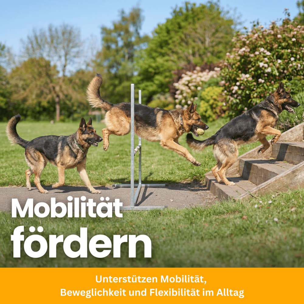 Gelenk-Kausnacks für Hunde mit Glucosamin