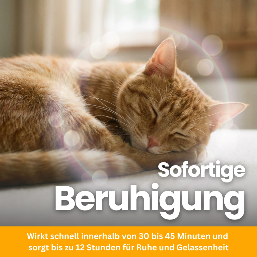 Anti-Stress Kausnacks für Katzen