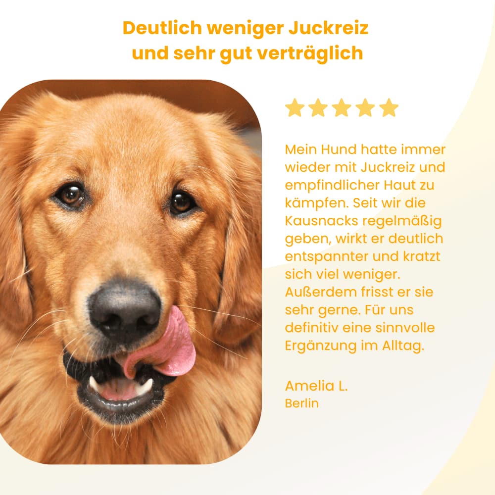 Allergie & Juckreiz Kausnacks für Hunde