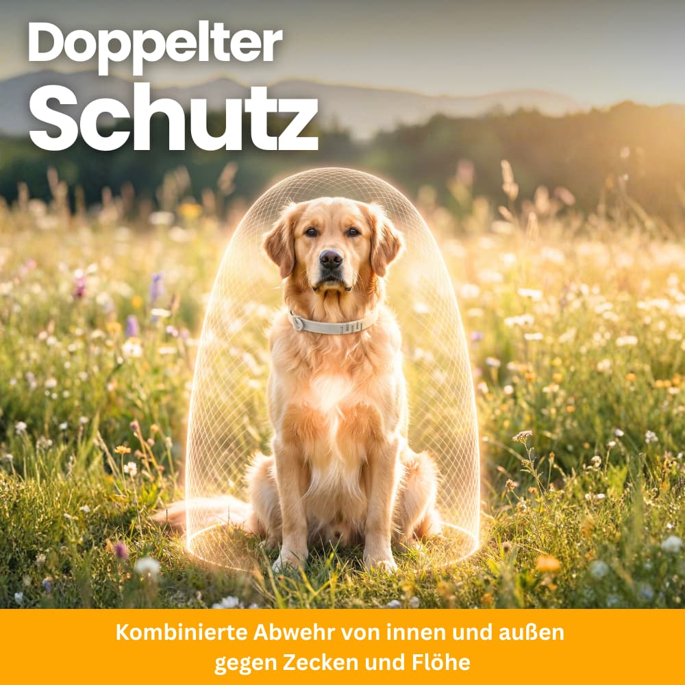 FellFreund Flea & Tick Protection Duo