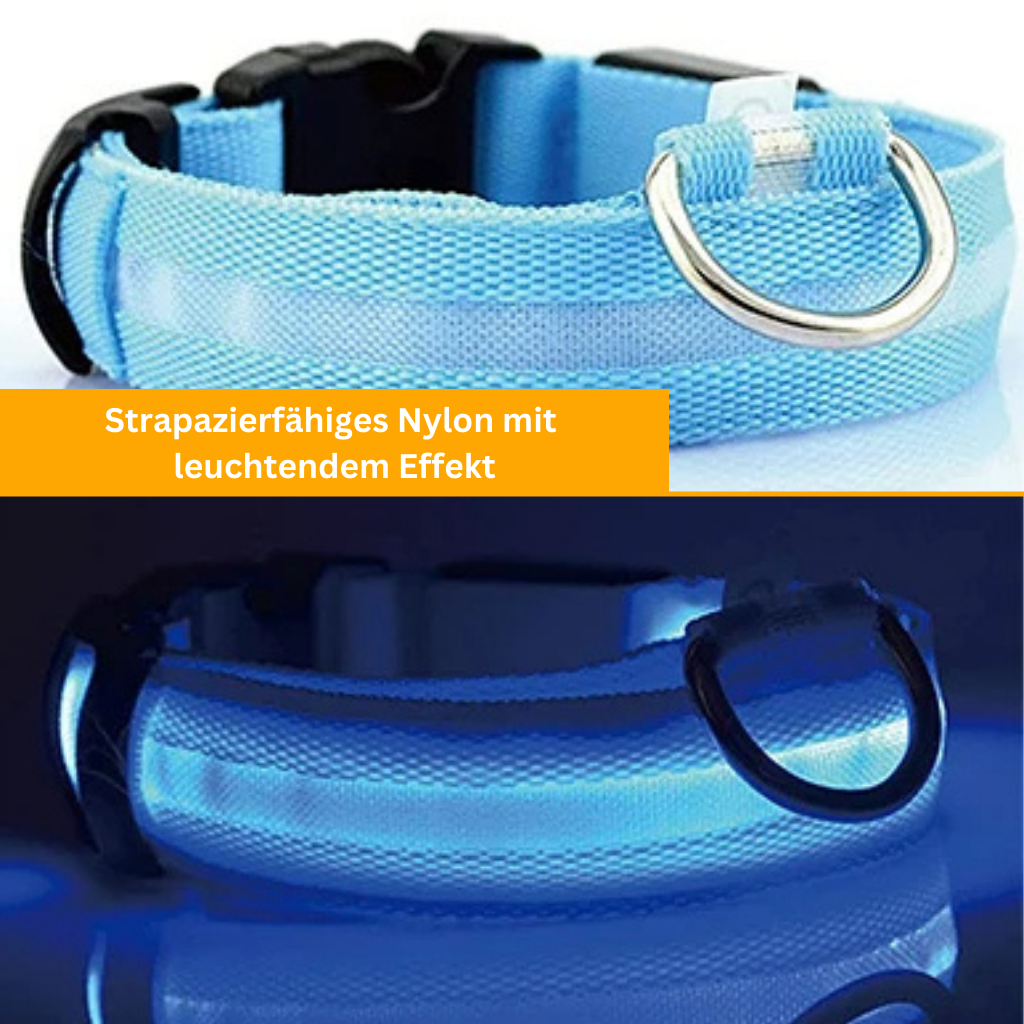 LED Light-Up Dog Collar