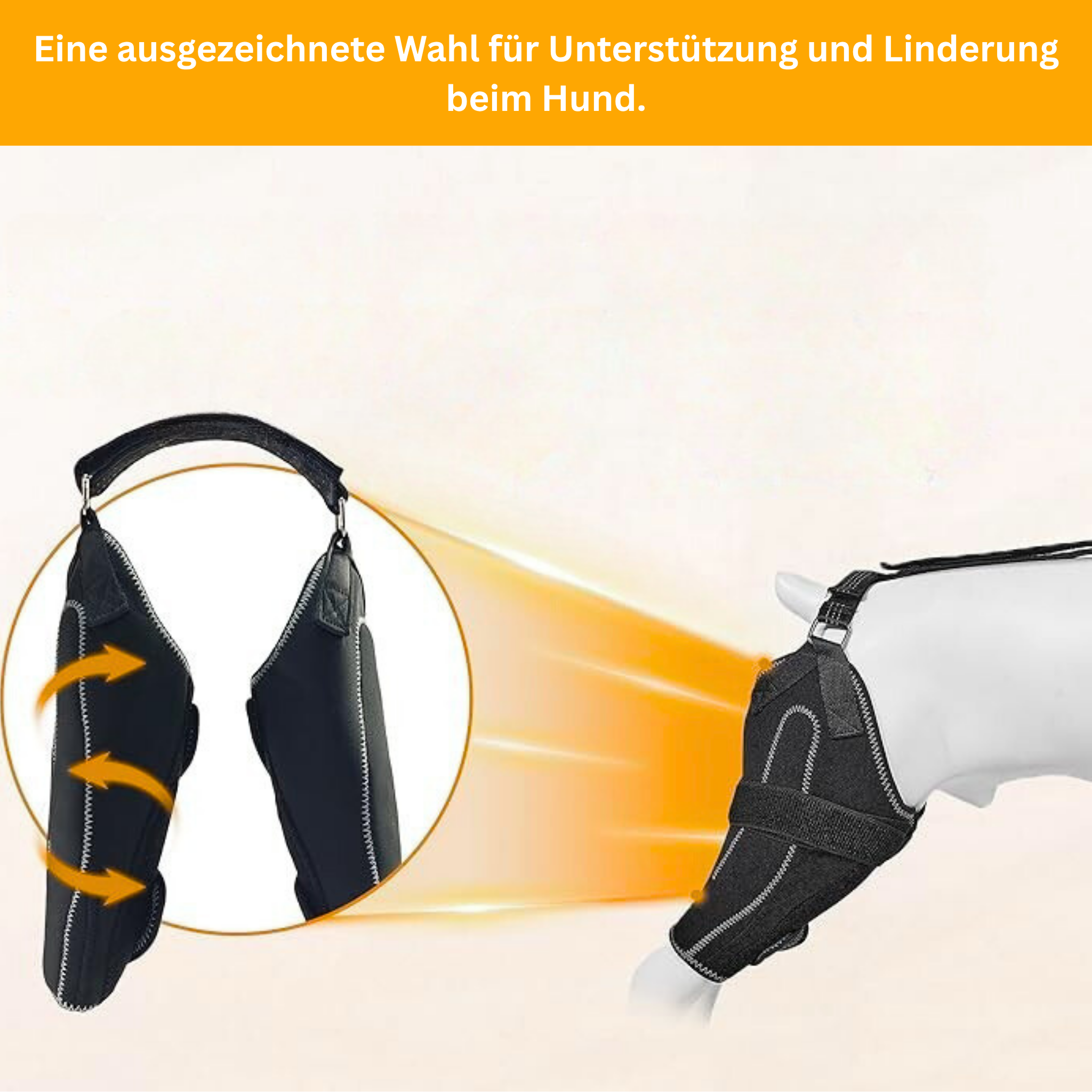 DualBrace – Hinged Leg Brace