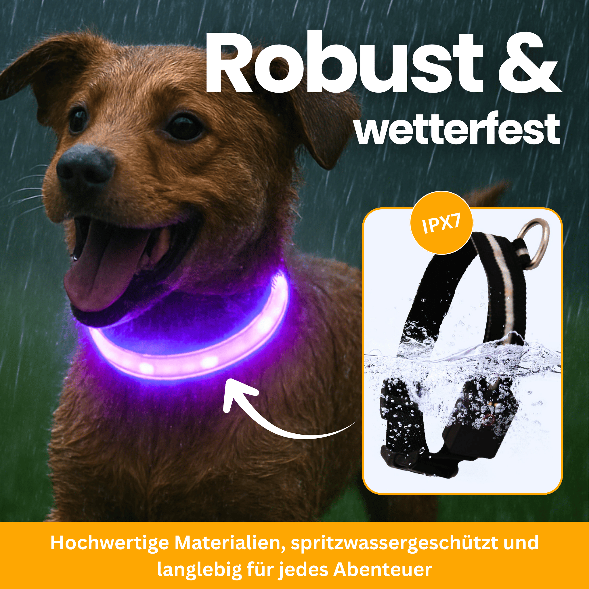 LED-Leuchthalsband Pro