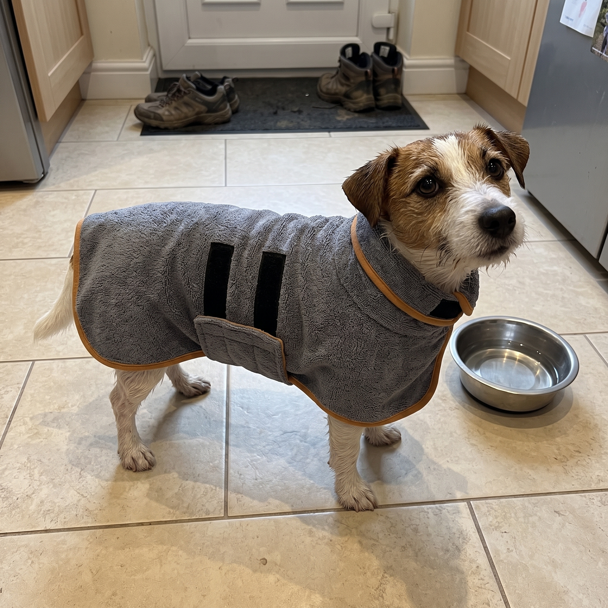 Passt kleinen und großen Hunden, ohne zu rutschen