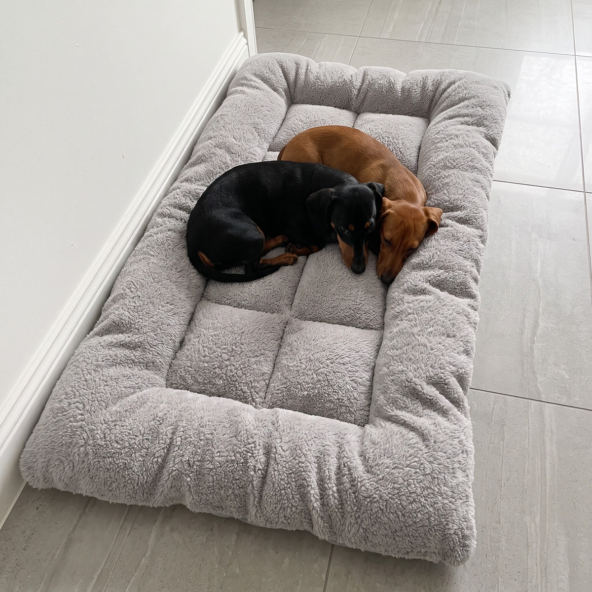 TeddyBed – Zwei Dackel liegen zusammen im TeddyBed in Größe L