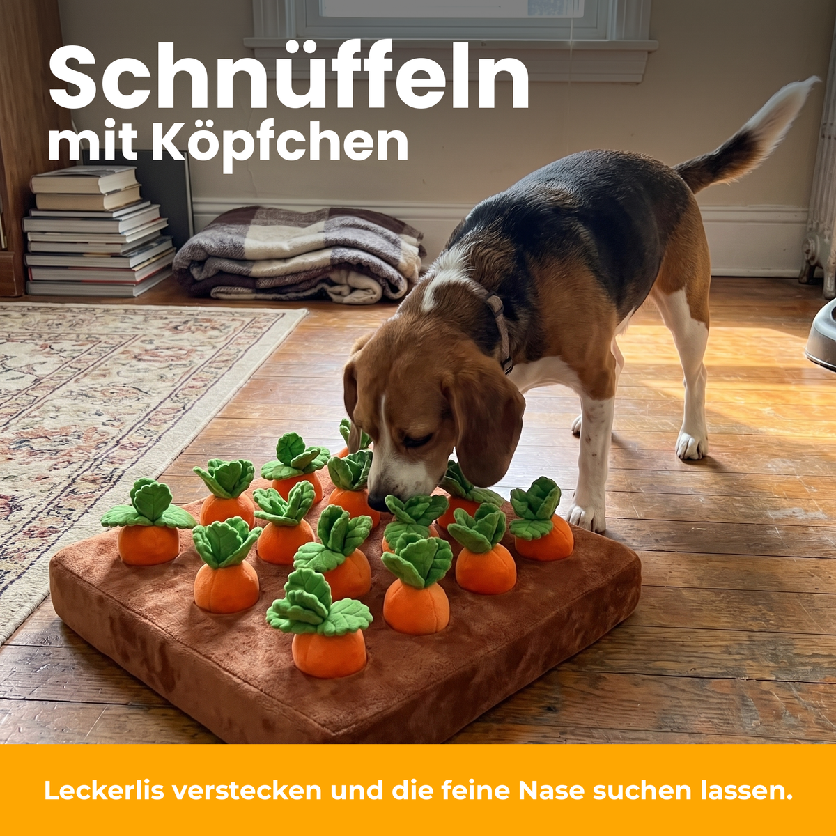 [de] Hund schnüffelt an der Karotti Matte