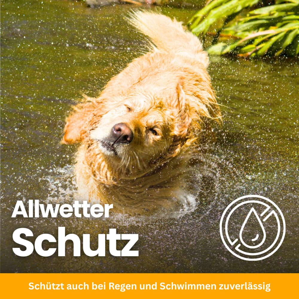 FellFreund Floh- & Zeckenschutz Duo