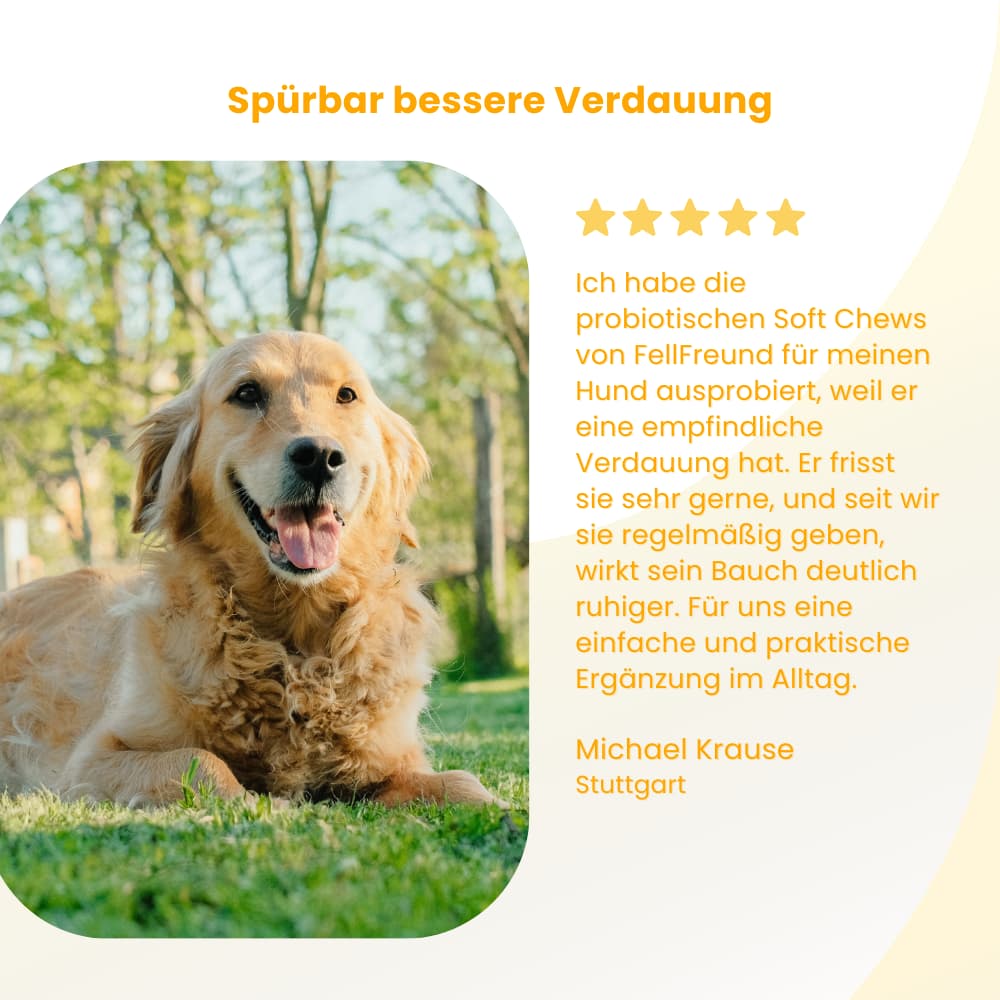 Probiotische Soft Chews für Hunde – Darm & Verdauung