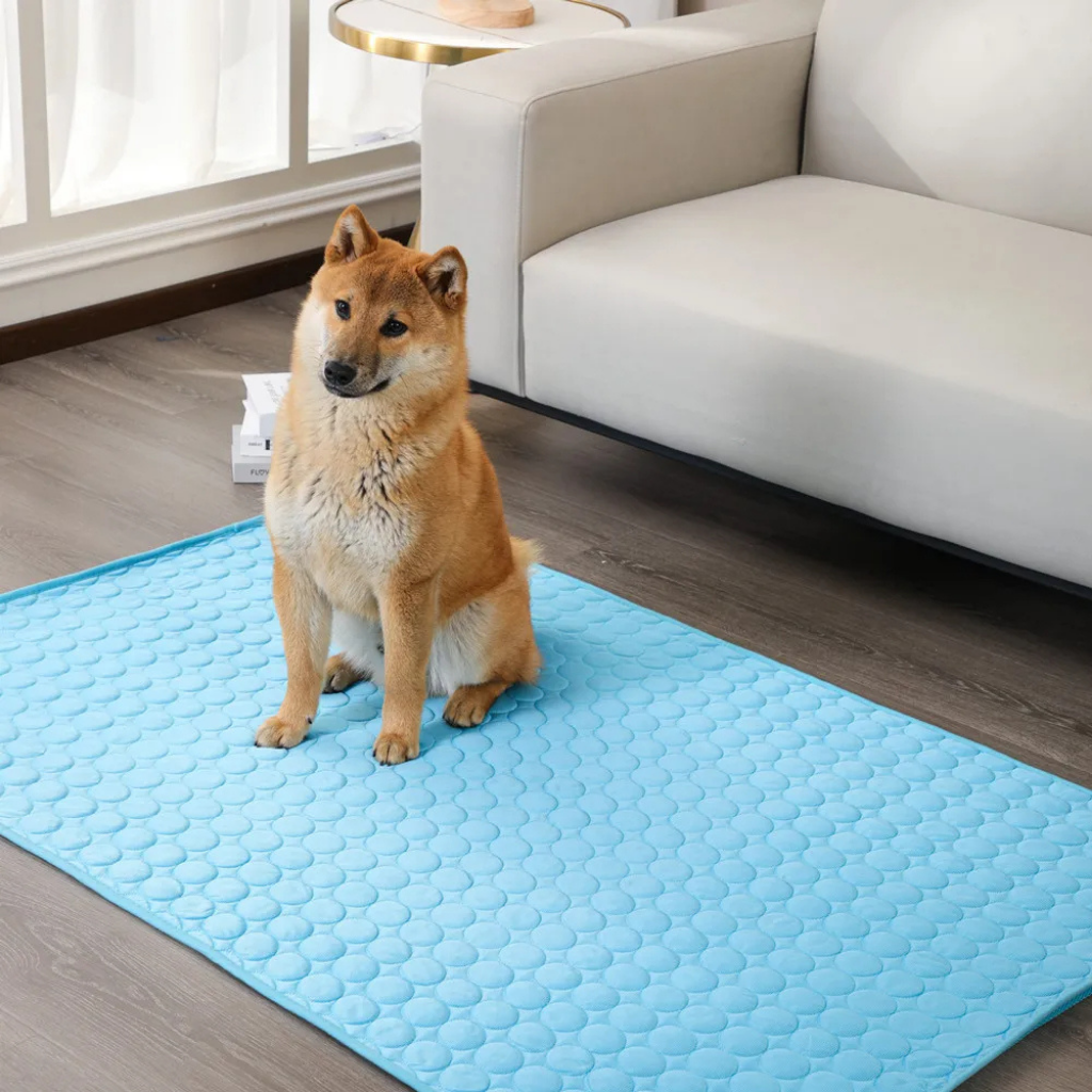 Premium Kühlmatte für Hunde
