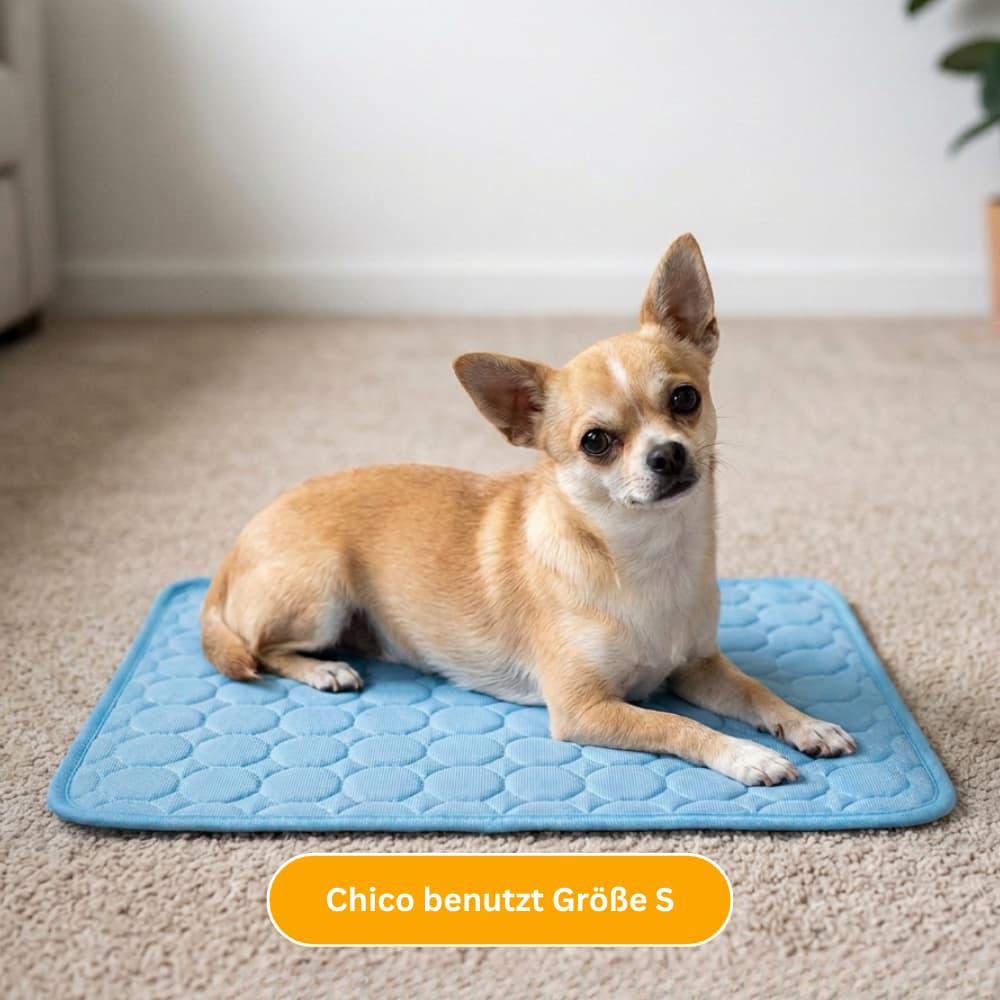 Premium Kühlmatte für Hunde