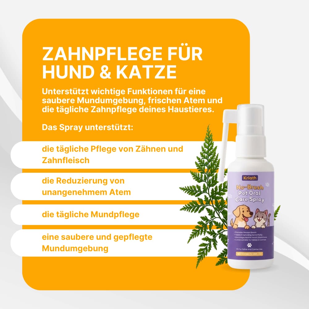 ToothBalance Dental Care Spray
