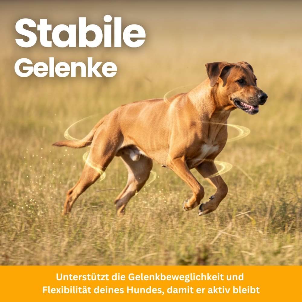 Hüfte & Gelenke Soft Chews für Hunde