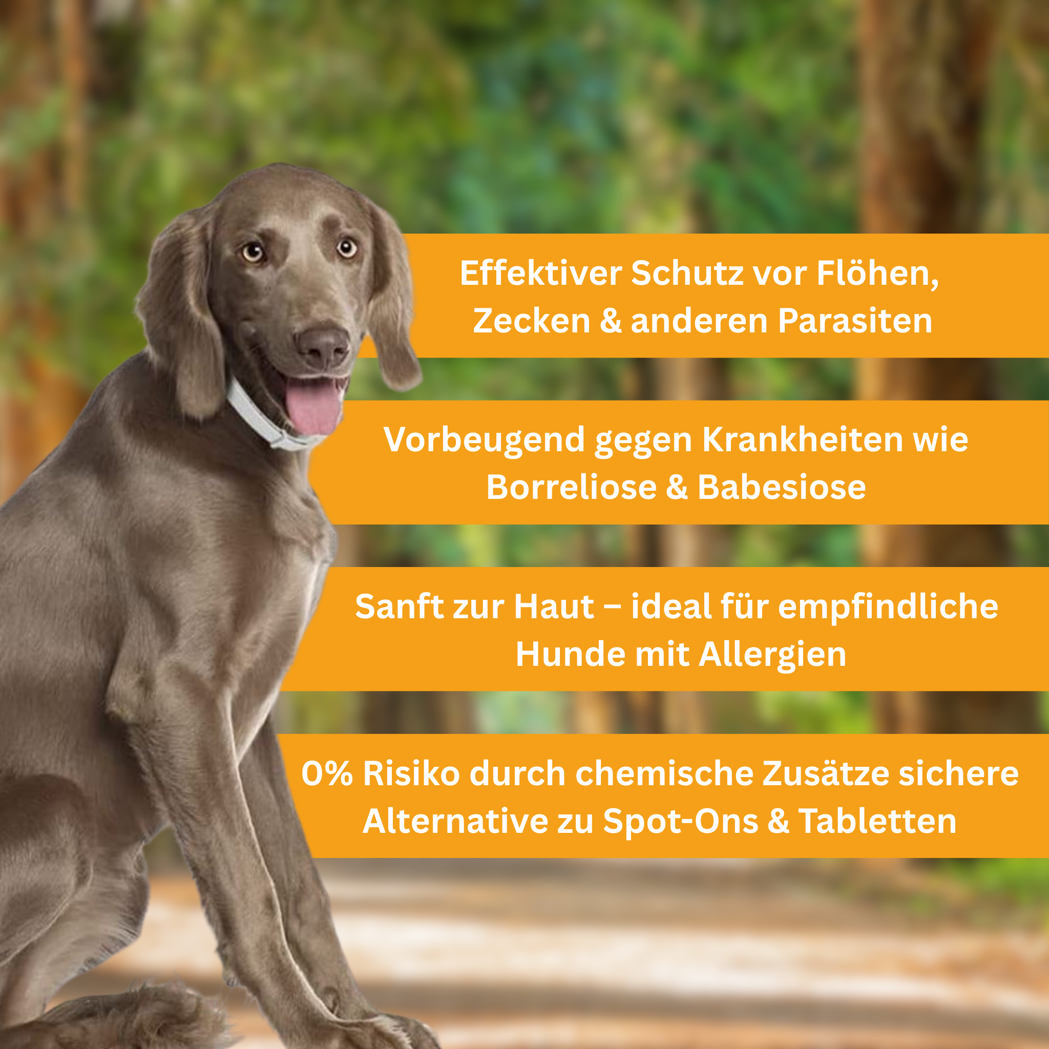 Flea and Tick Protection Collar for Dogs