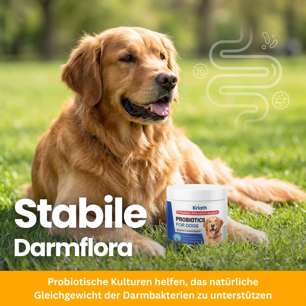 Probiotische Softpellets für Hunde & Welpen