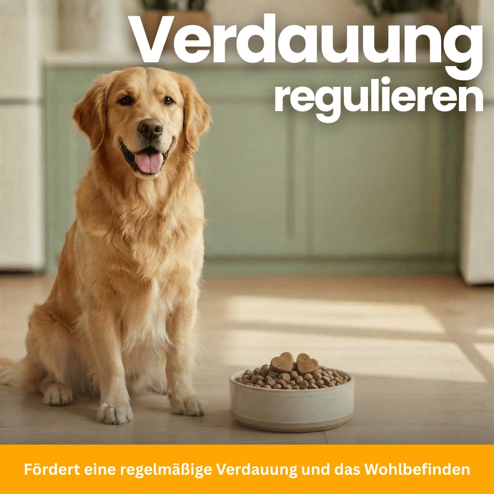 Allergie & Juckreiz Kausnacks für Hunde