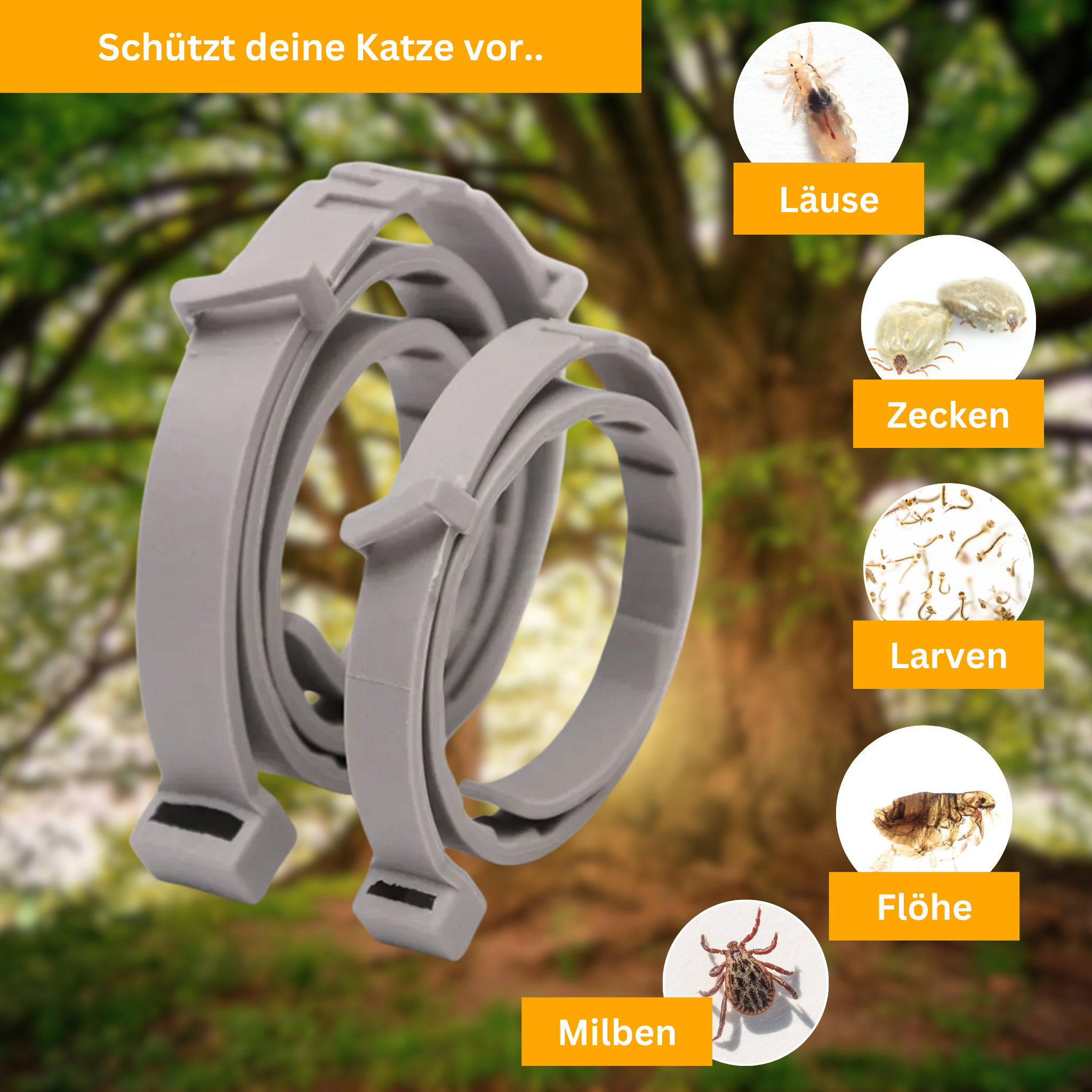 Floh- und Zeckenschutz Halsband für Katzen