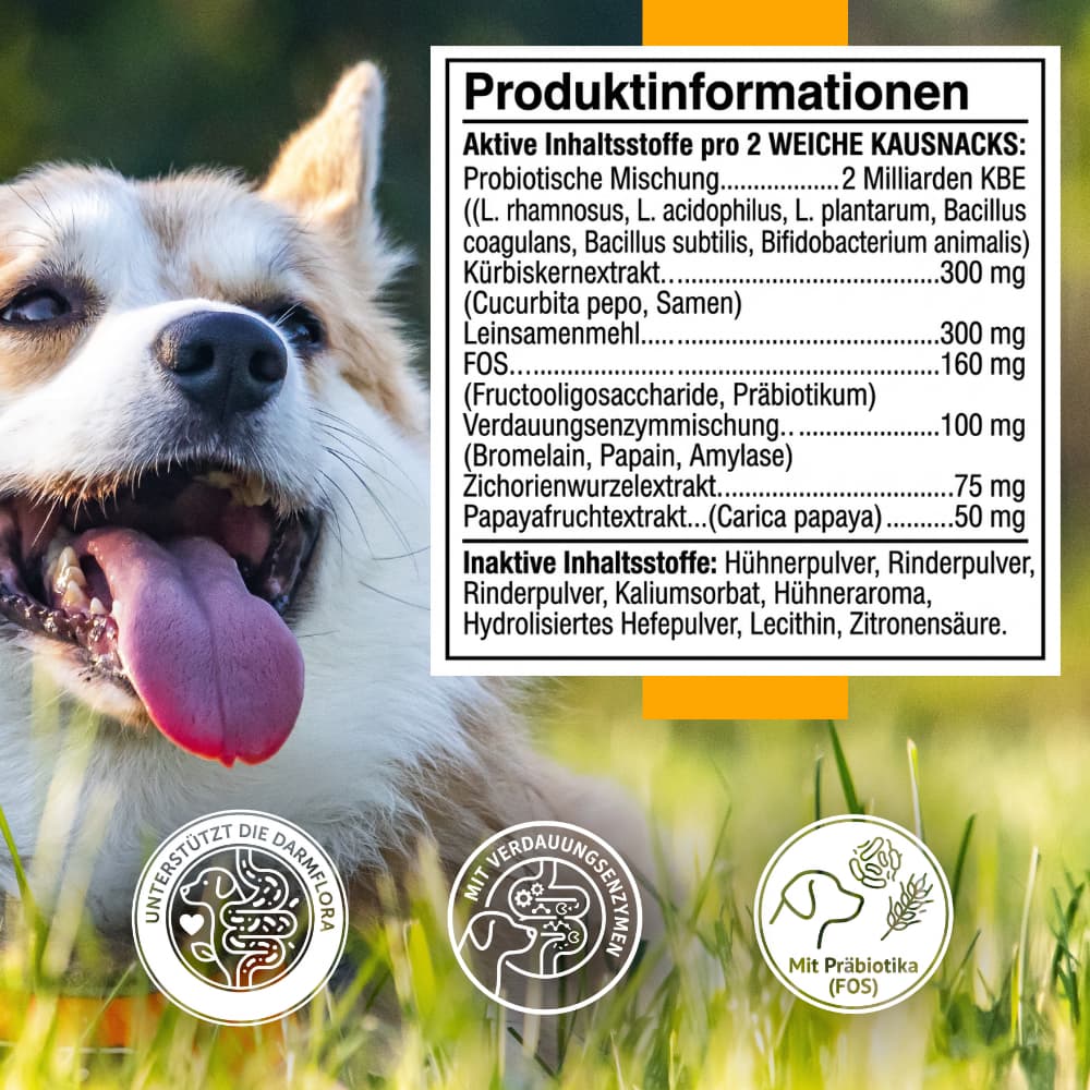 Probiotische Soft Chews für Hunde – Darm & Verdauung