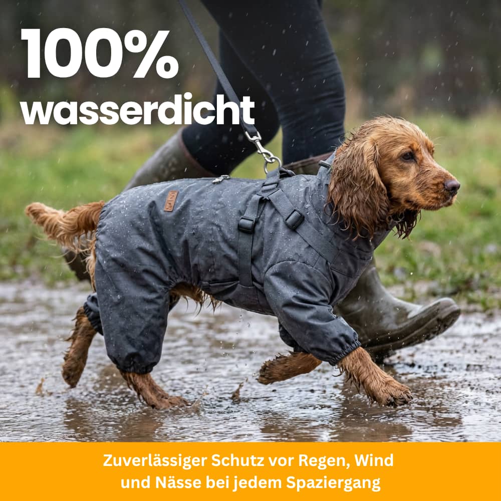 RainPaw – Waterproof Raincoat for Dogs