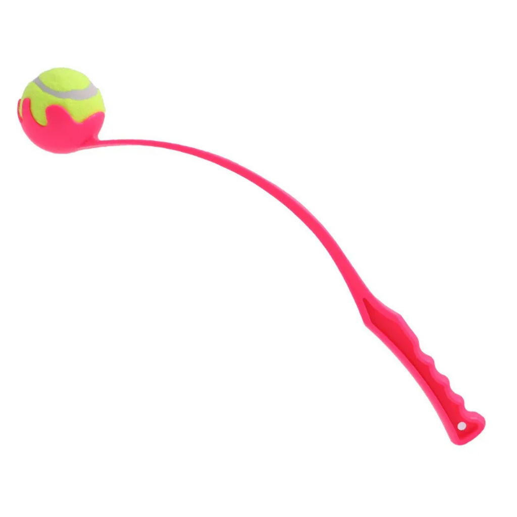 FetchMaster Handballwerfer