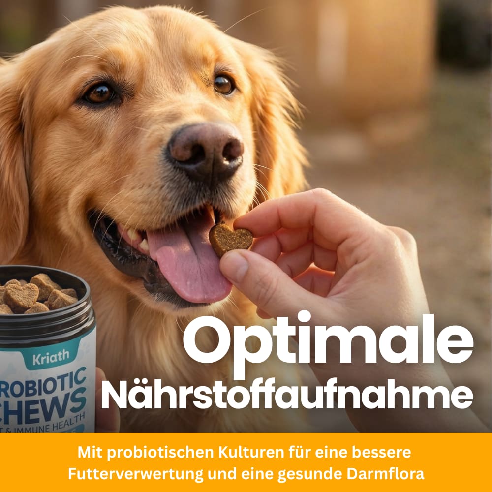 Dog Probiotics for Gut & Immune System