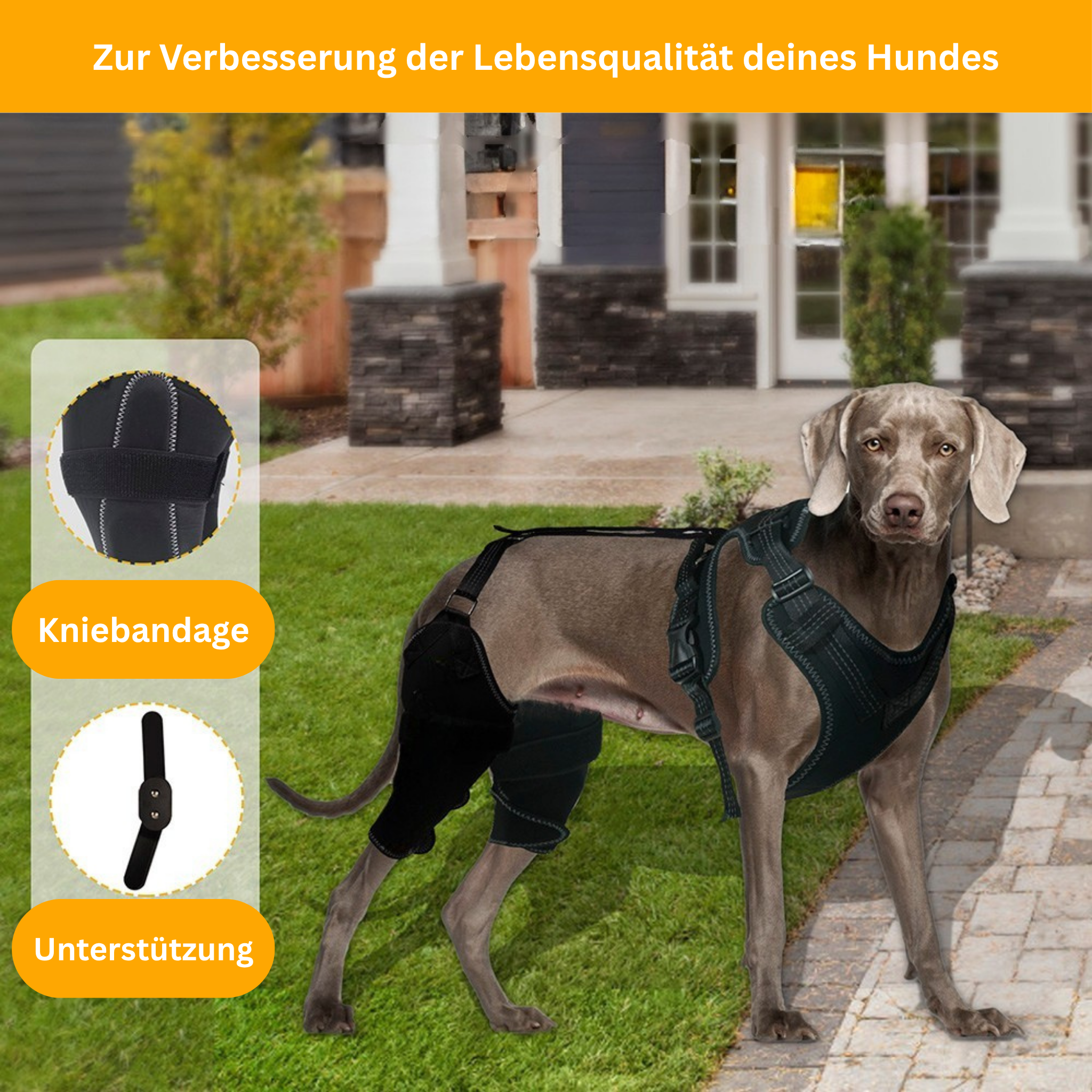 DualBrace – Hinged Leg Brace