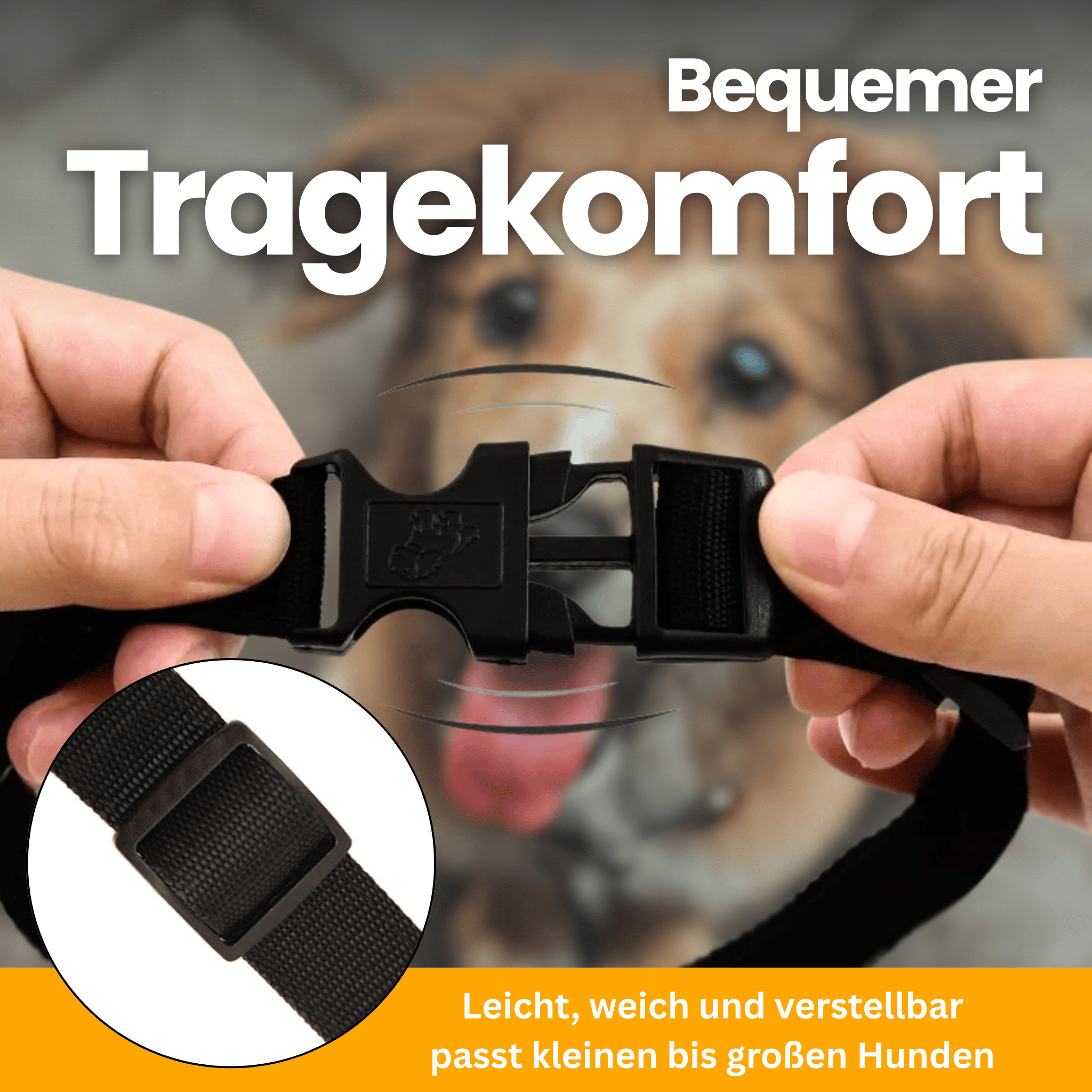 LED-Leuchthalsband Pro