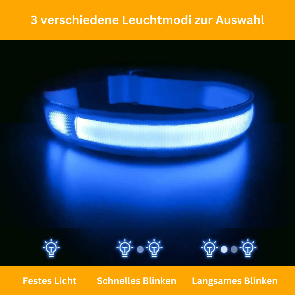 LED Leuchthalsband