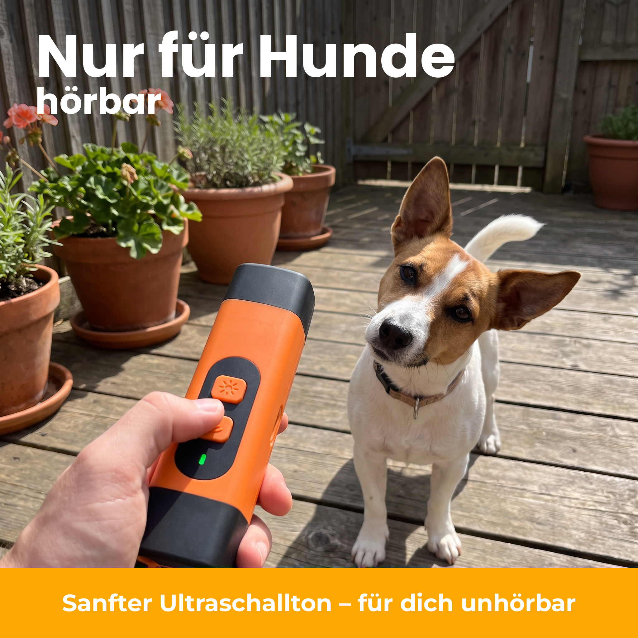 [de] Nur für Hunde hörbar