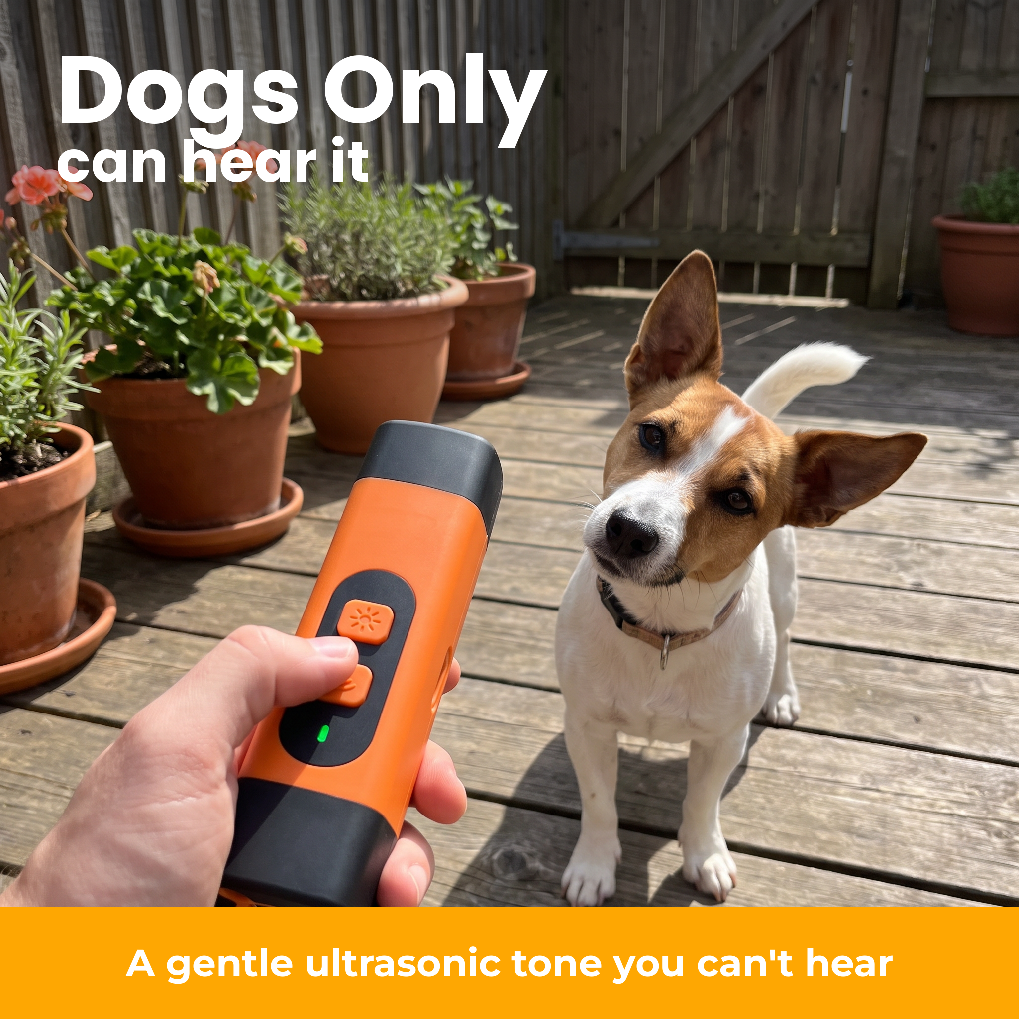 [en] Dogs only can hear it