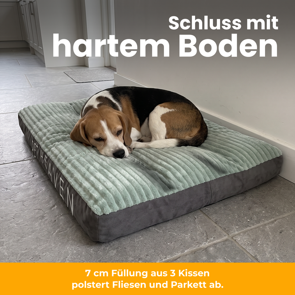 [de] DreamPad – Beagle liegt weich gepolstert auf DreamPad statt auf harten Fliesen