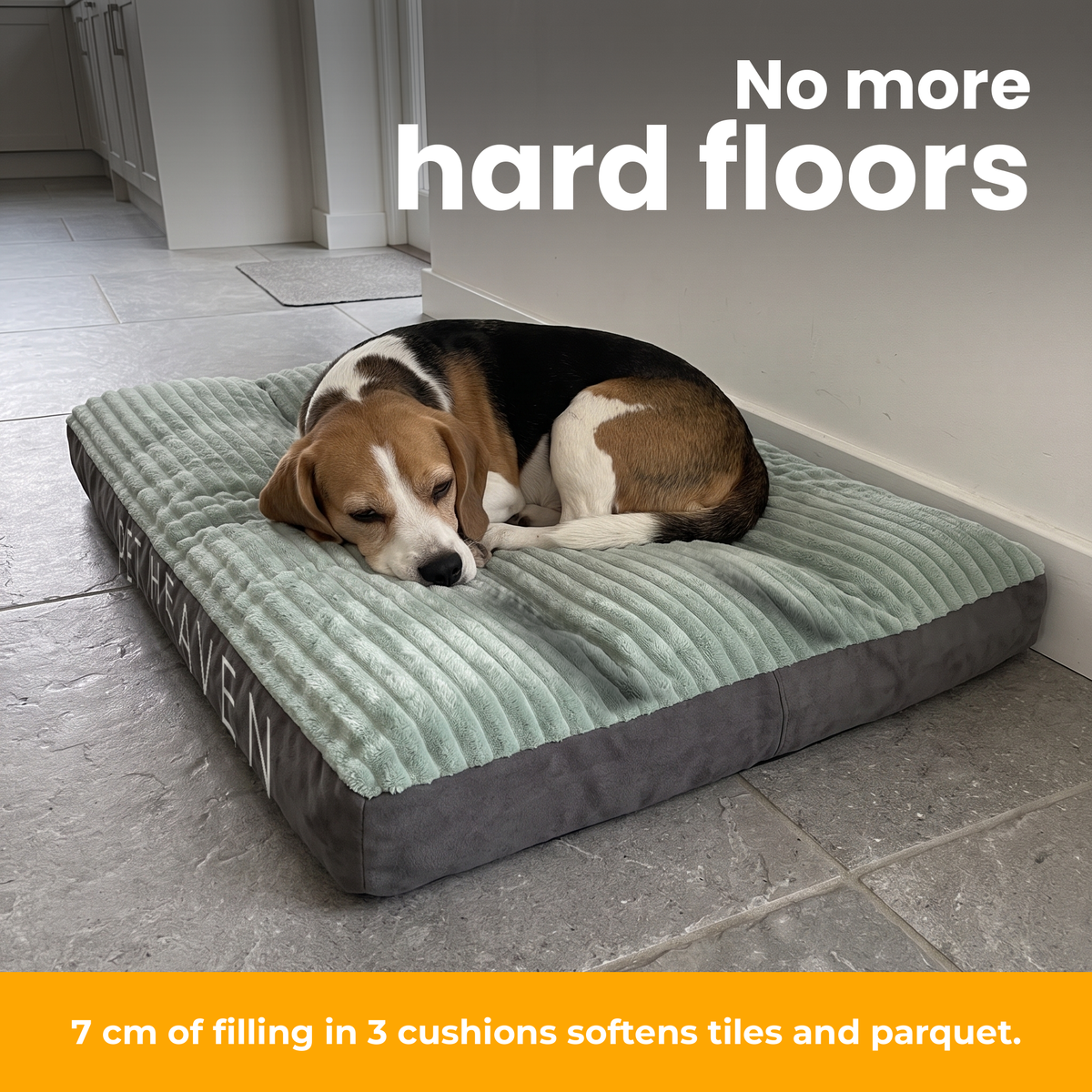 [en] DreamPad – Beagle lying softly padded on DreamPad instead of hard tiles