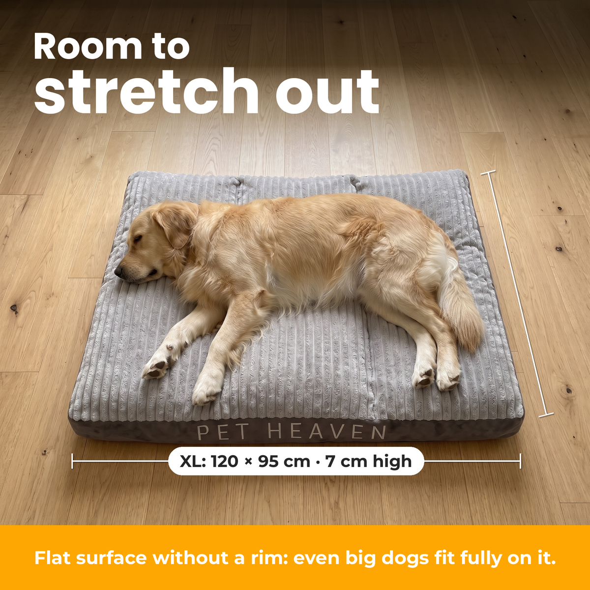 [en] DreamPad – Golden retriever stretched out on DreamPad in XL (120 × 95 cm)