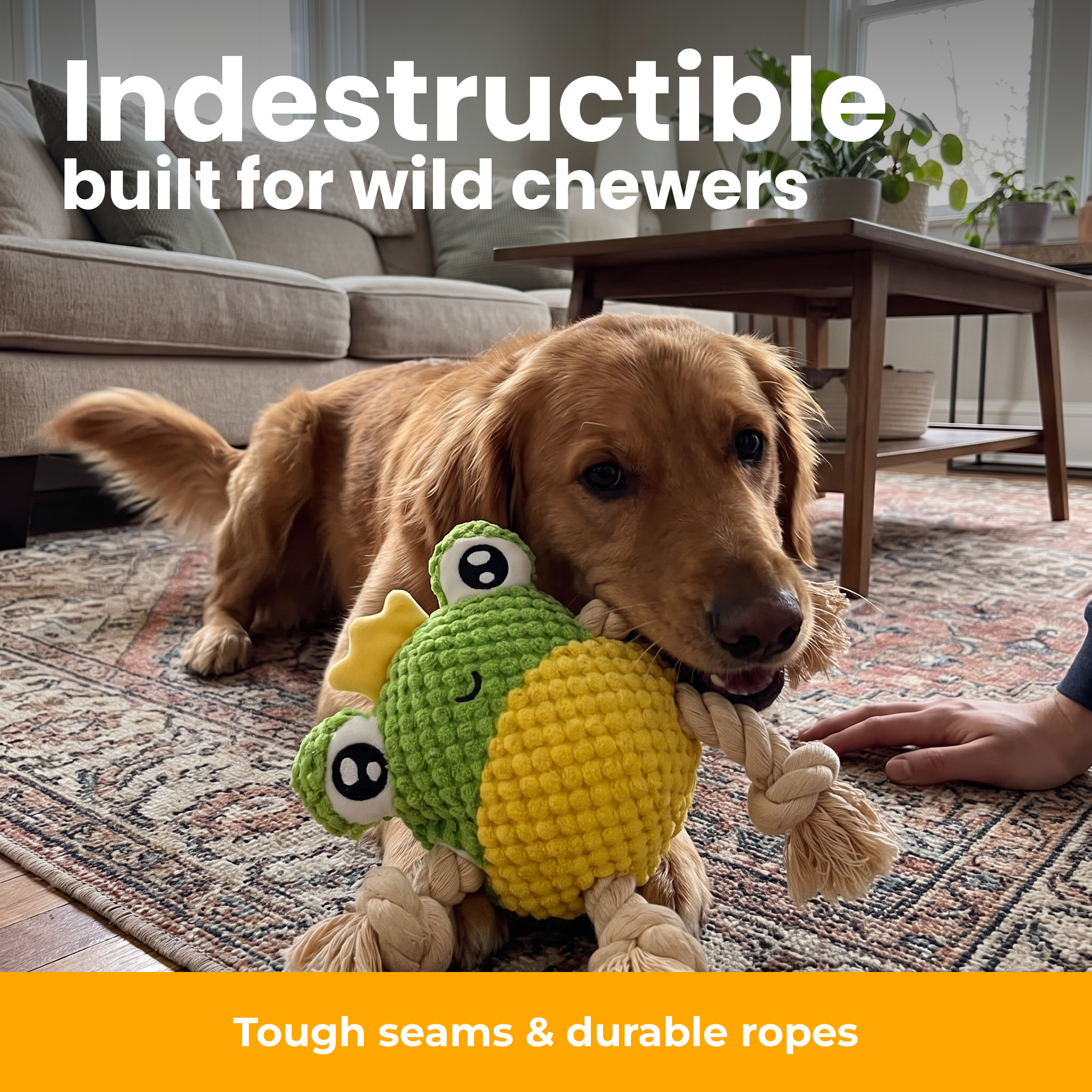 [en] Indestructible frog dog toy while chewing