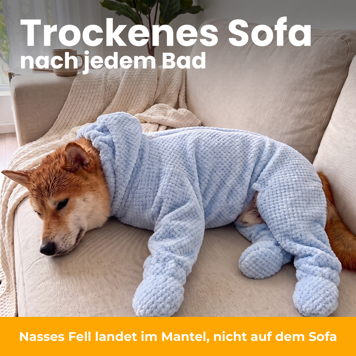[de] FluffDry Hunde-Bademantel – trockenes Sofa