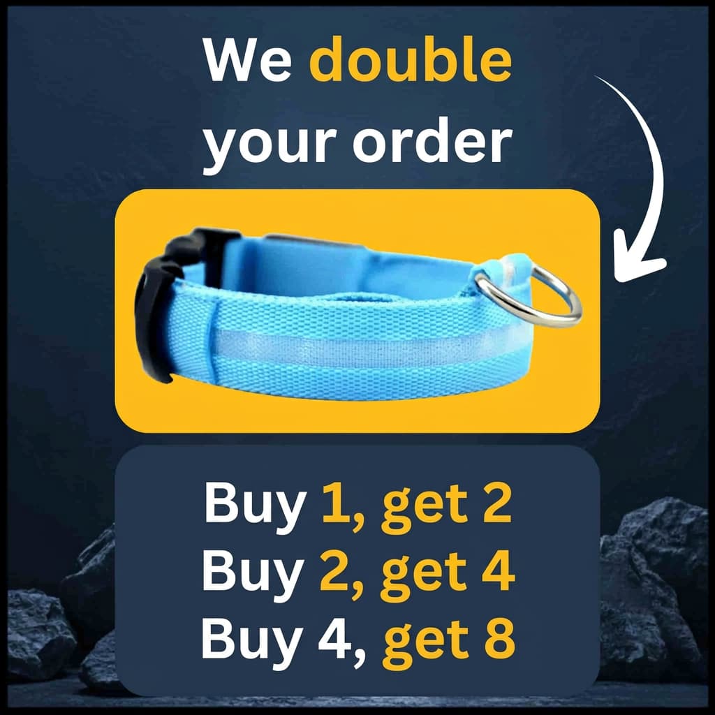 LED Light-Up Dog Collar