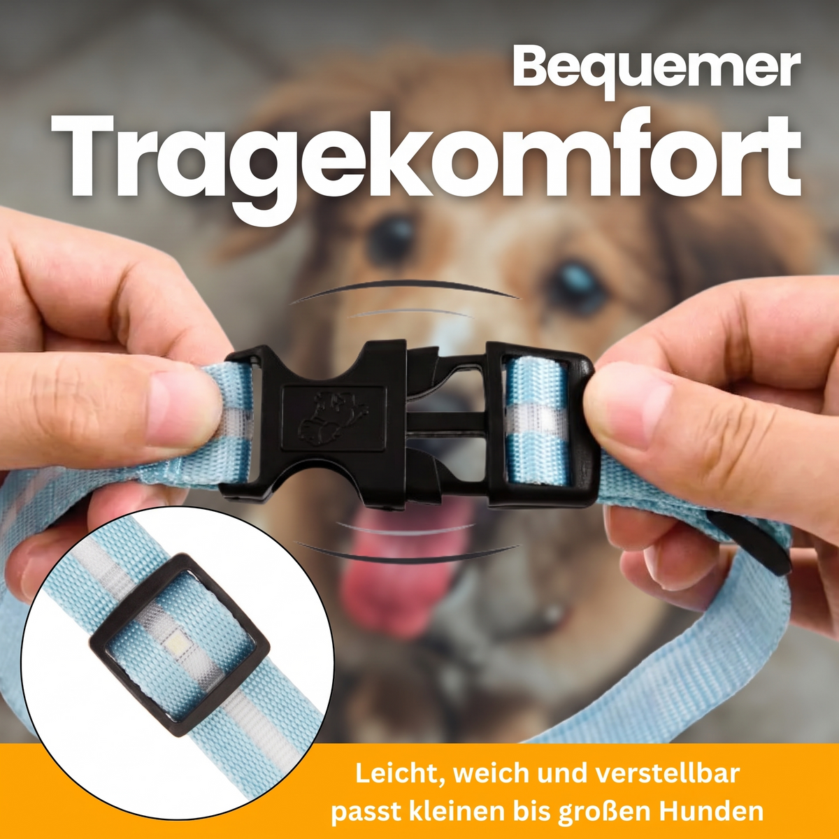 LED Light-Up Collar Pro