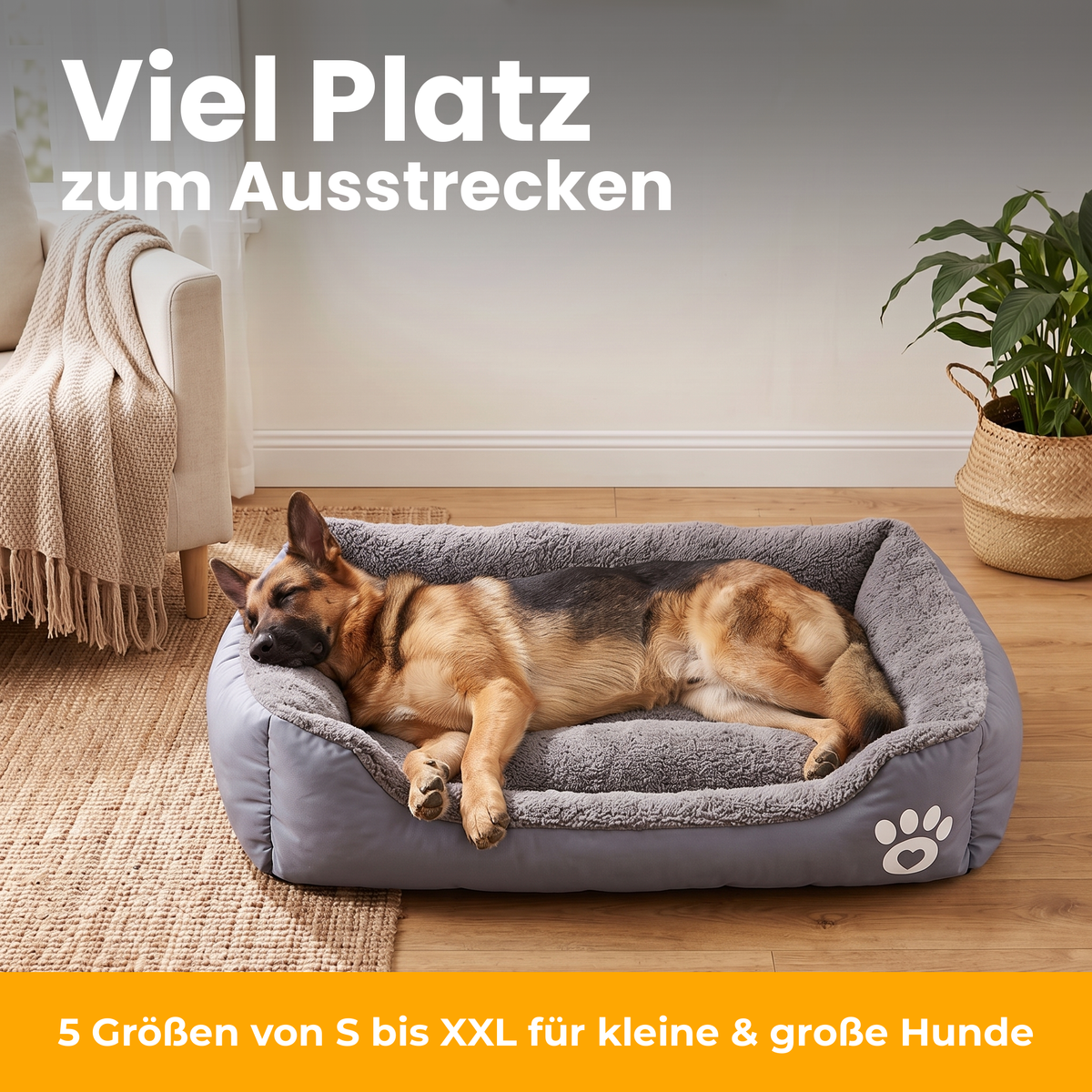[de] NapBox – Schäferhund liegt ausgestreckt im großen grauen NapBox