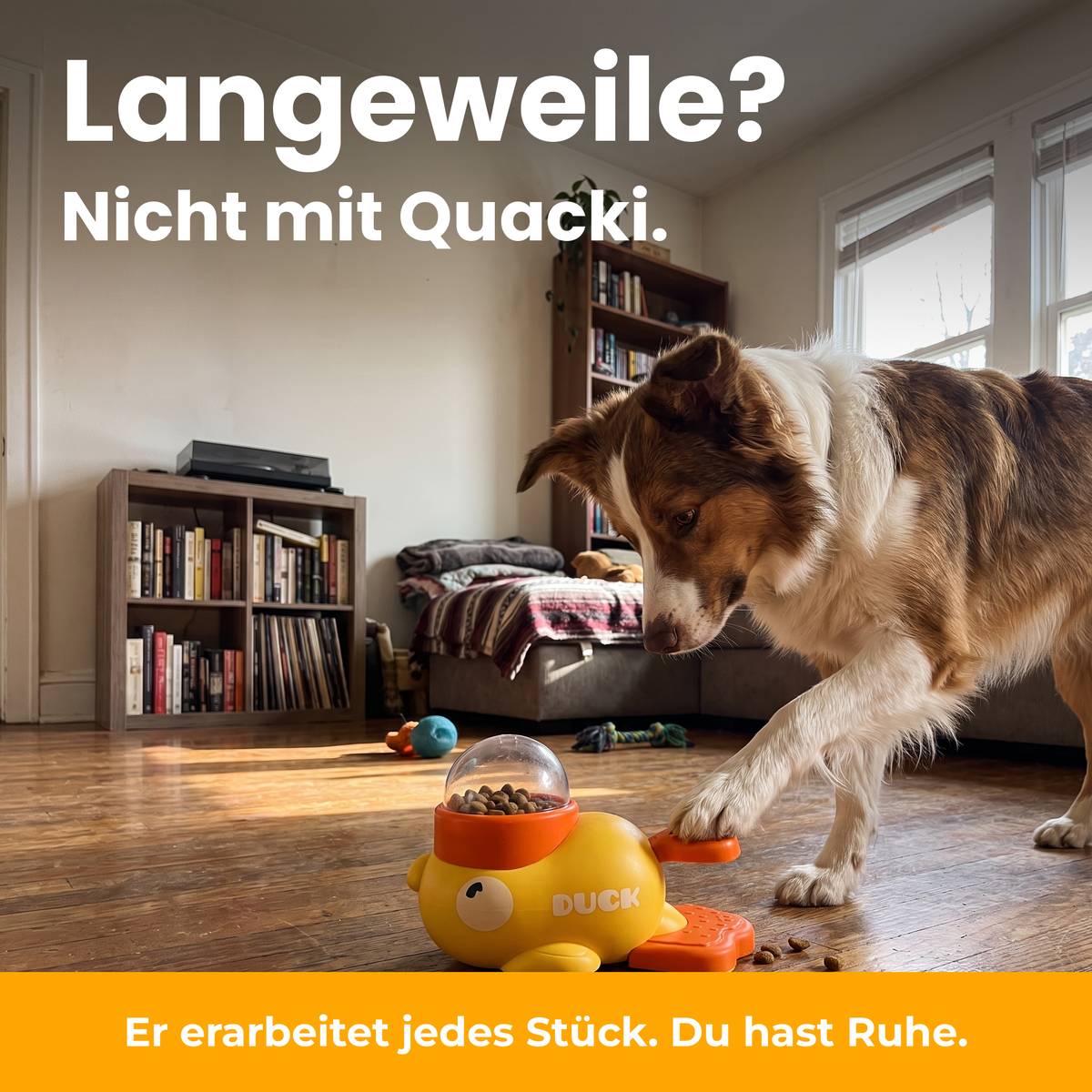[de] Langeweile? Nicht mit Quacki.