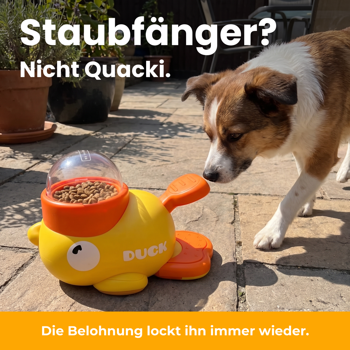 [de] Staubfänger? Nicht Quacki.