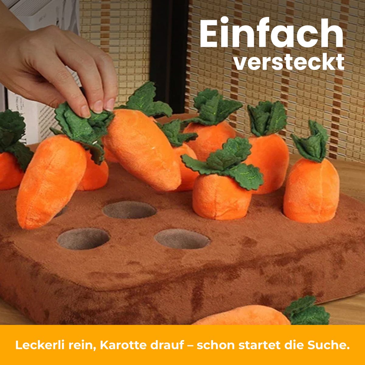 [de] Leckerlis werden unter den Karotten versteckt