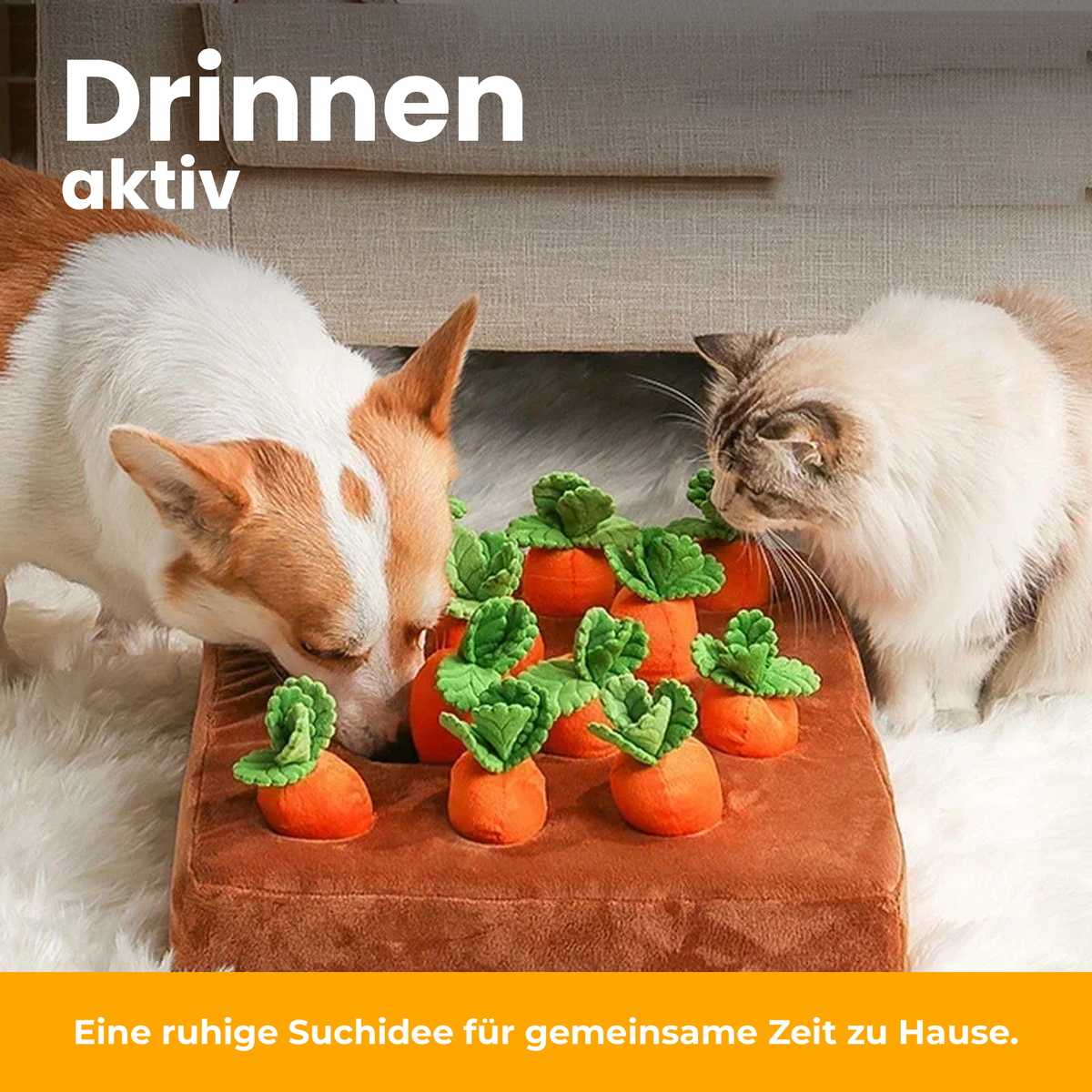 [de] Schnüffelspiel für drinnen