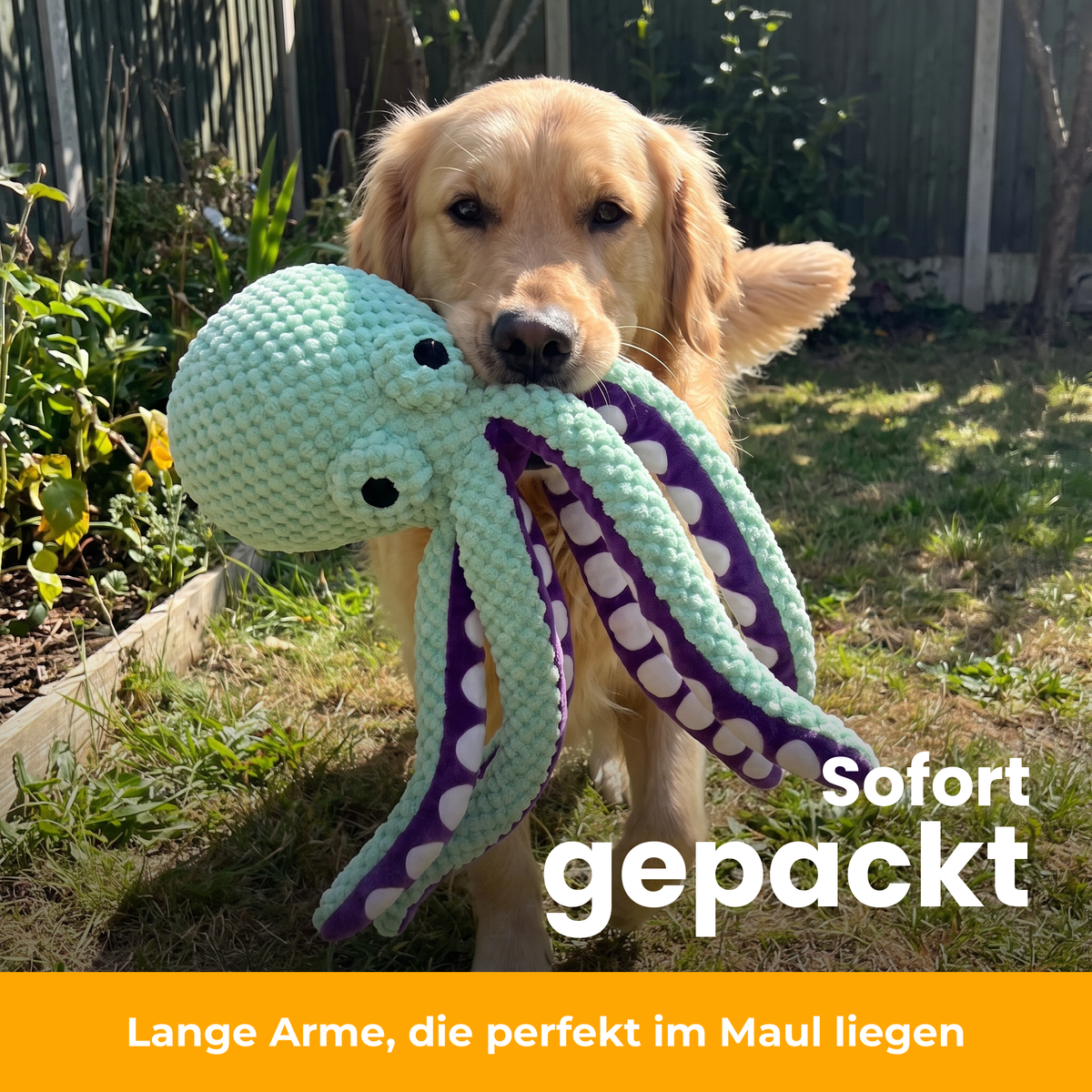 [de] Squiddy Kuscheloktopus – 05-apportieren